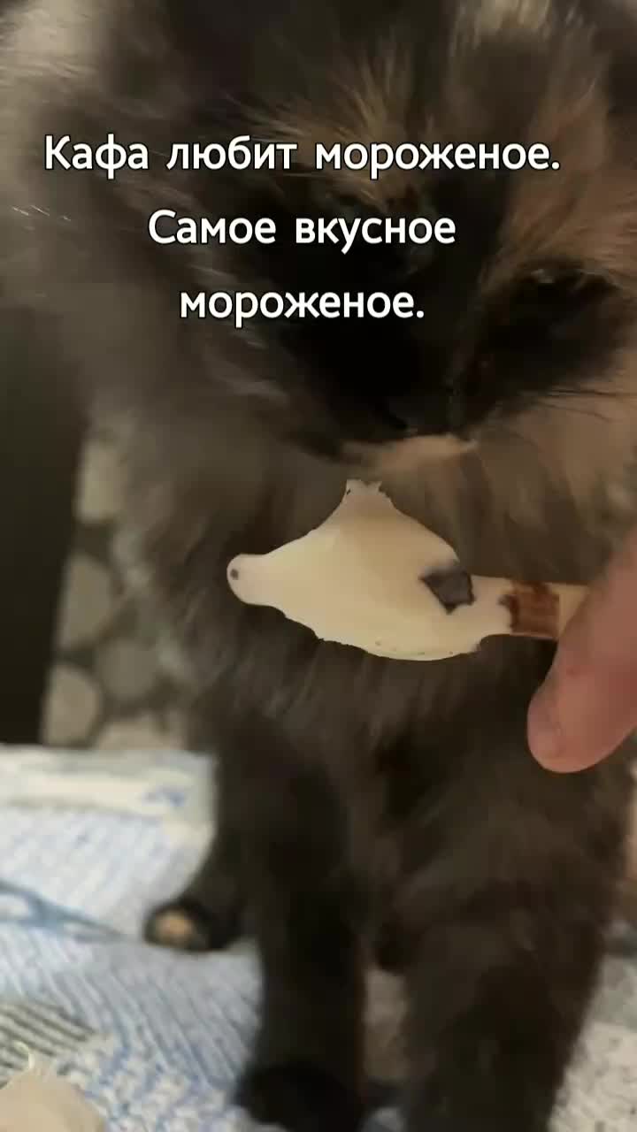 @Светлана