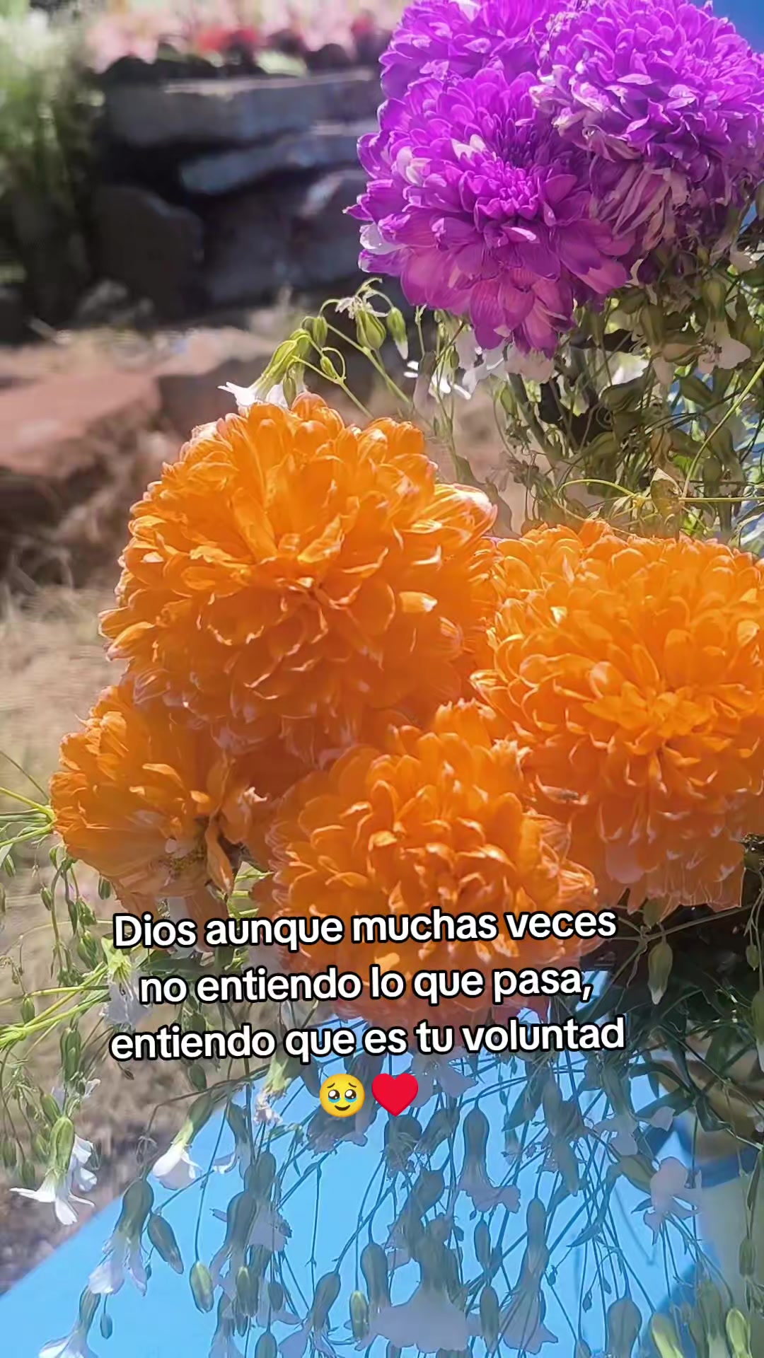 @Russy Condori
