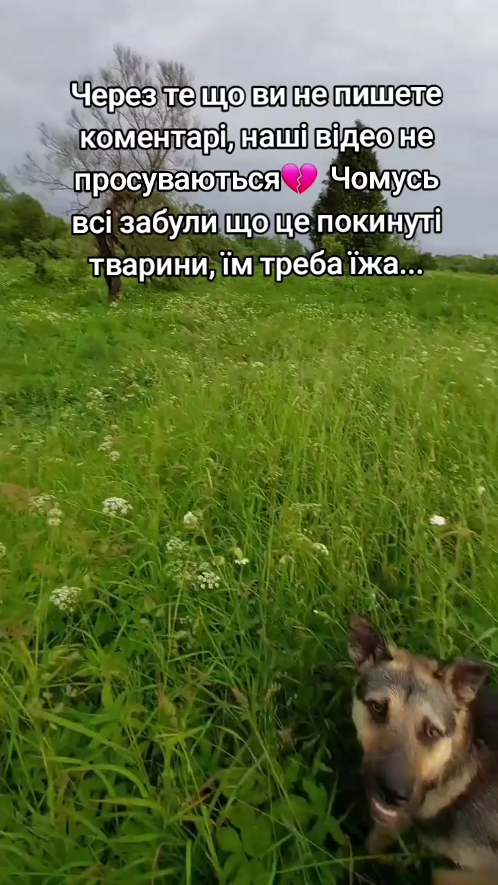 @tvarinkidobra