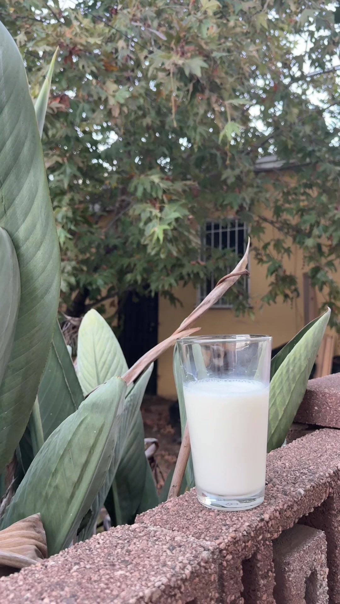 @Milk