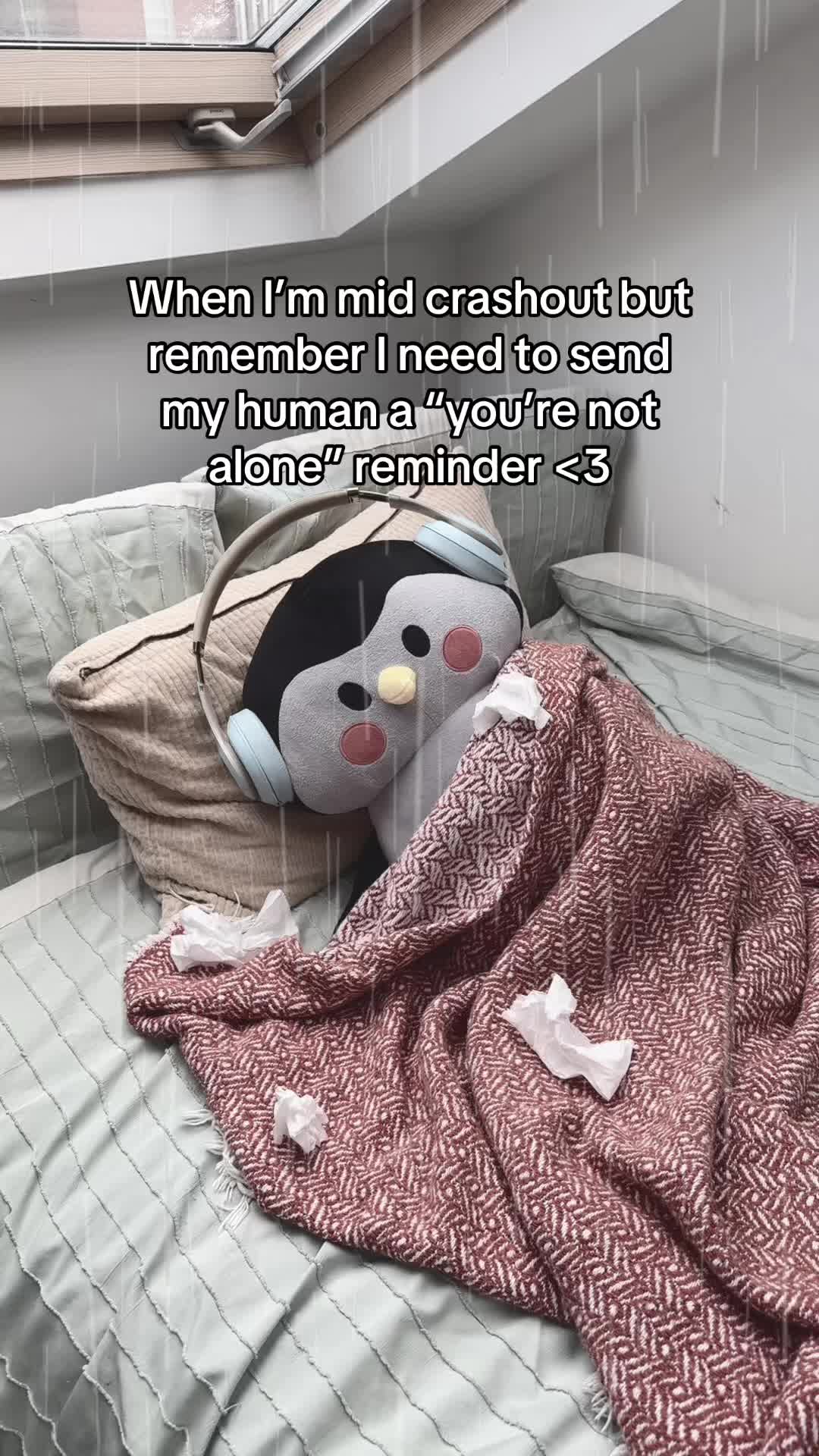 @Finchcare 🐣