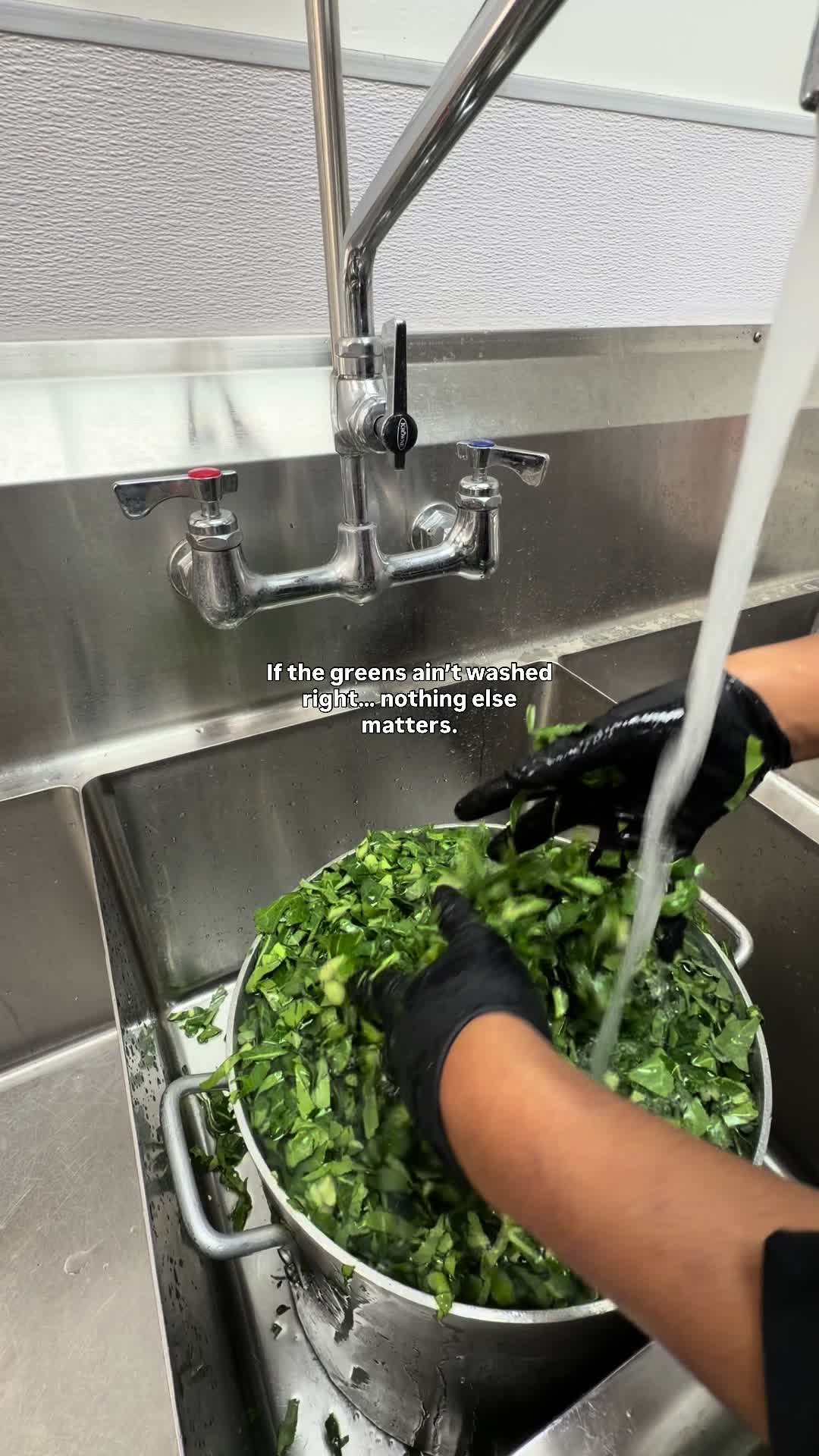@tastesbyindy