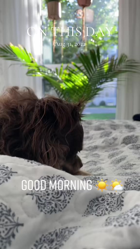 @Susielicious_1 🇨🇦