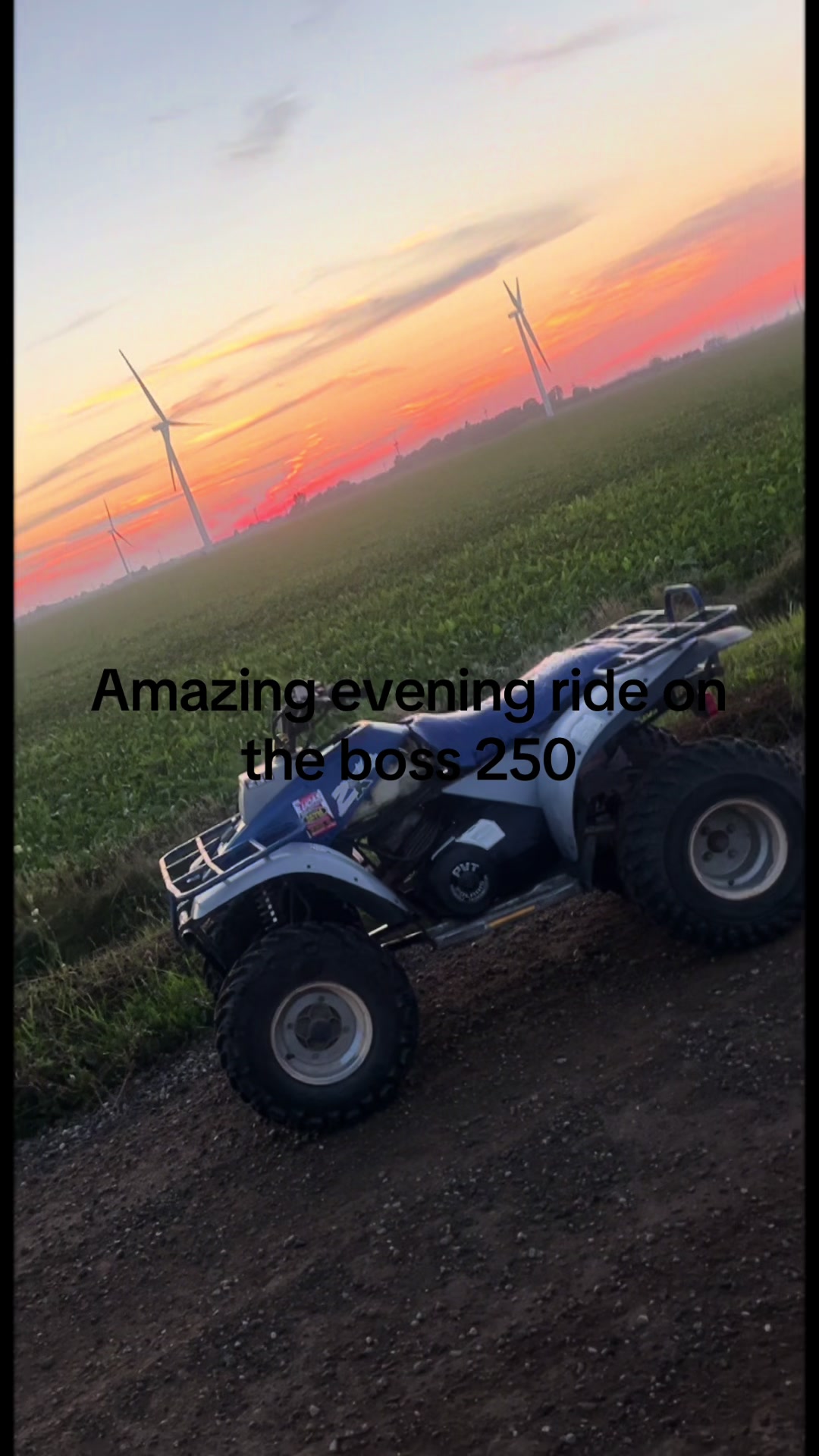 @dirtbike 300