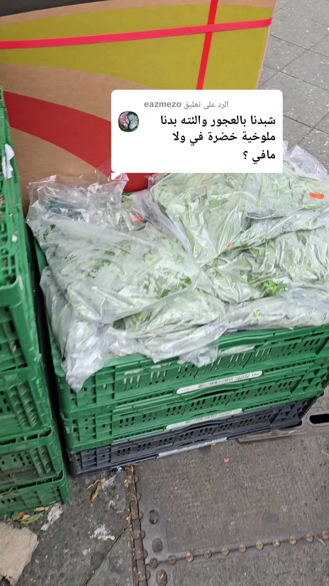 @ALMADINA_SUPERMARKT