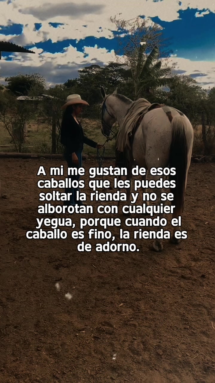 @noy_vela13