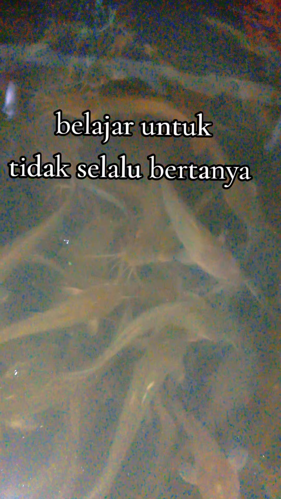 @Tamhar