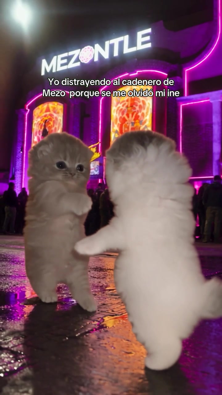 @Mezontle