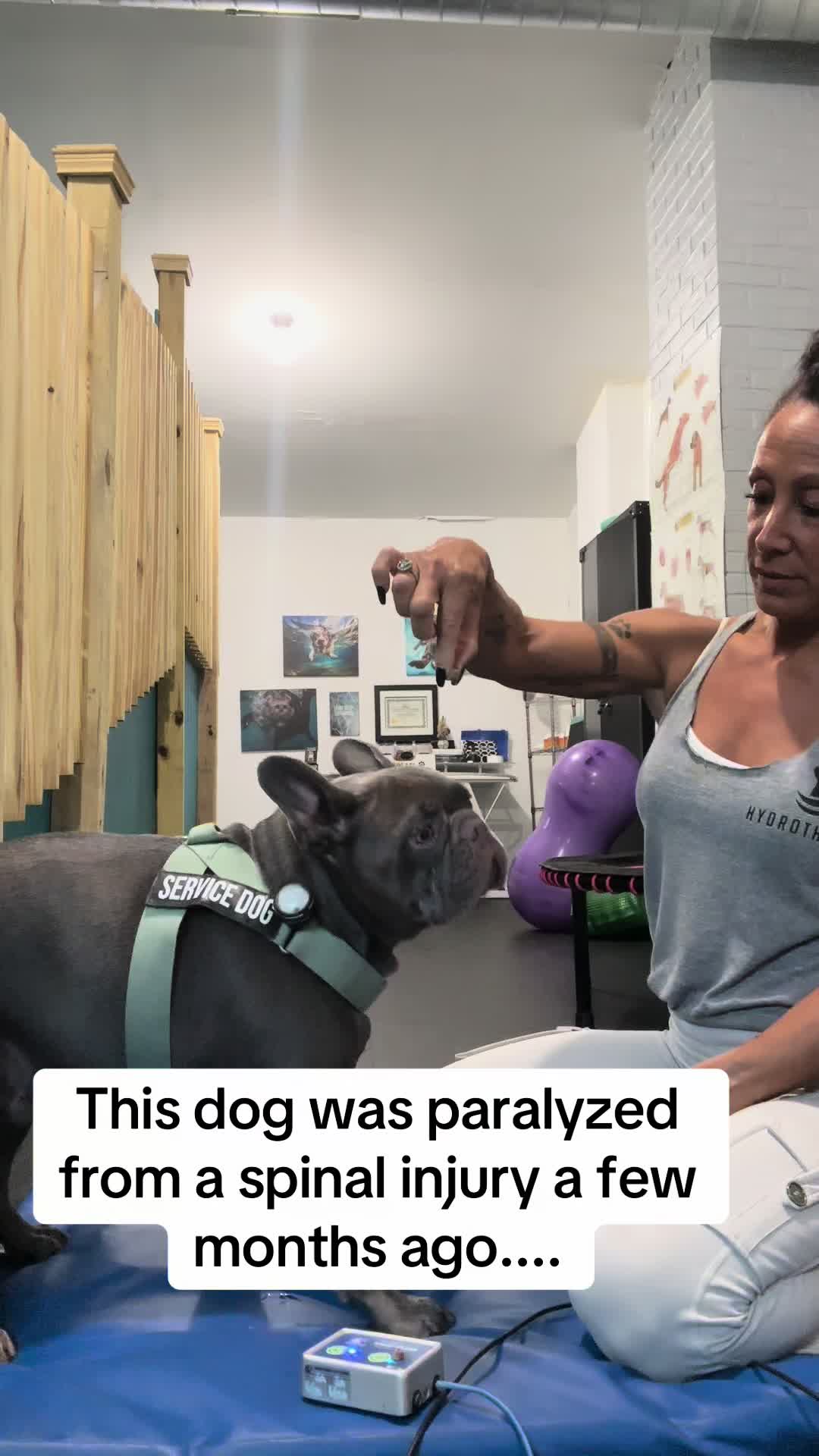 @dogmom76