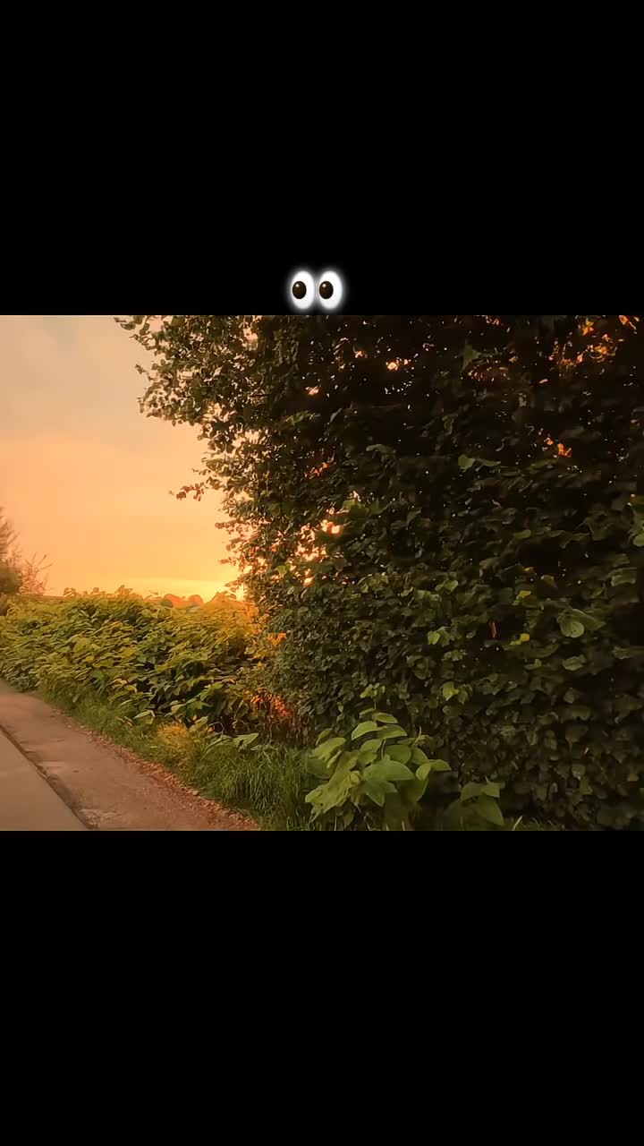 @𓆩♡𓆪