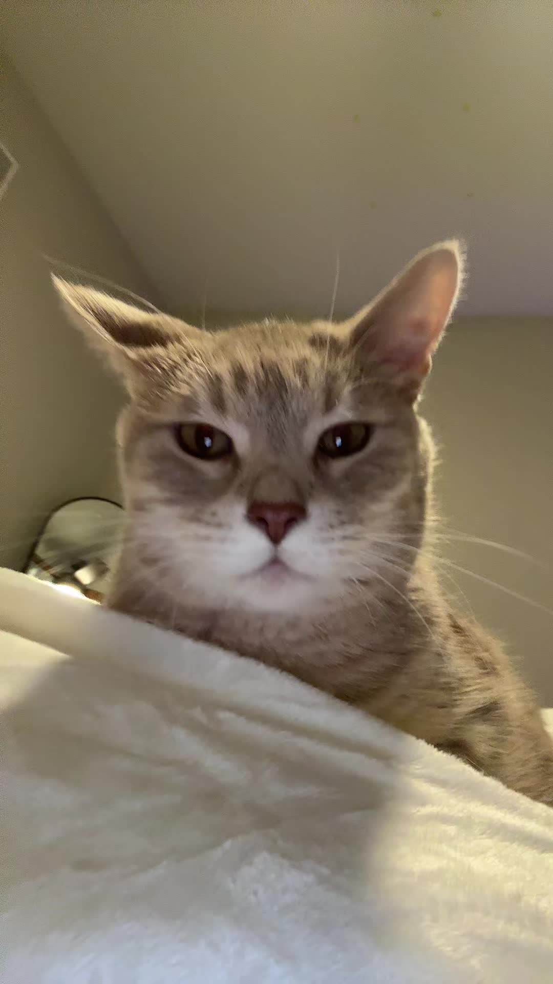 @B