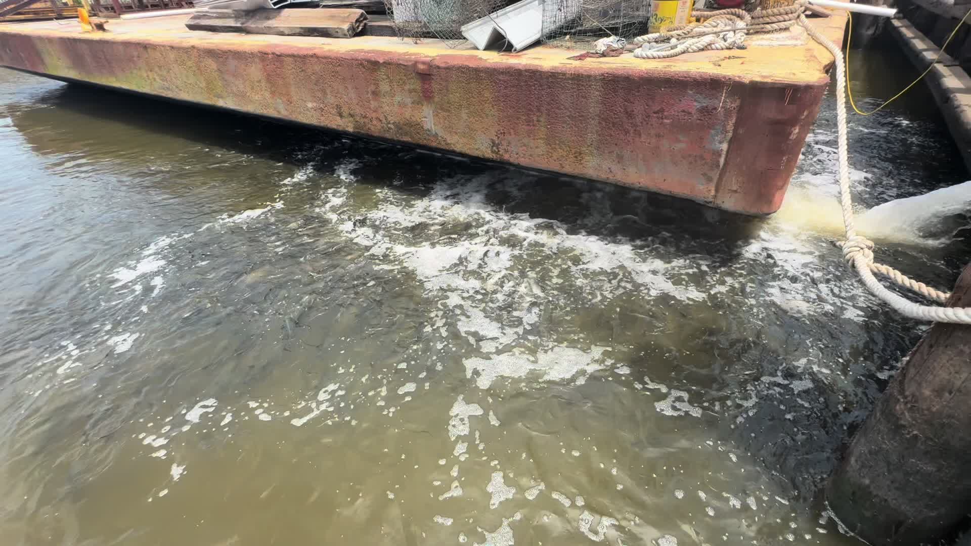 @337FishingQueenAndCrew