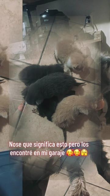 @🌜luna Valentina ♥️🇭🇳