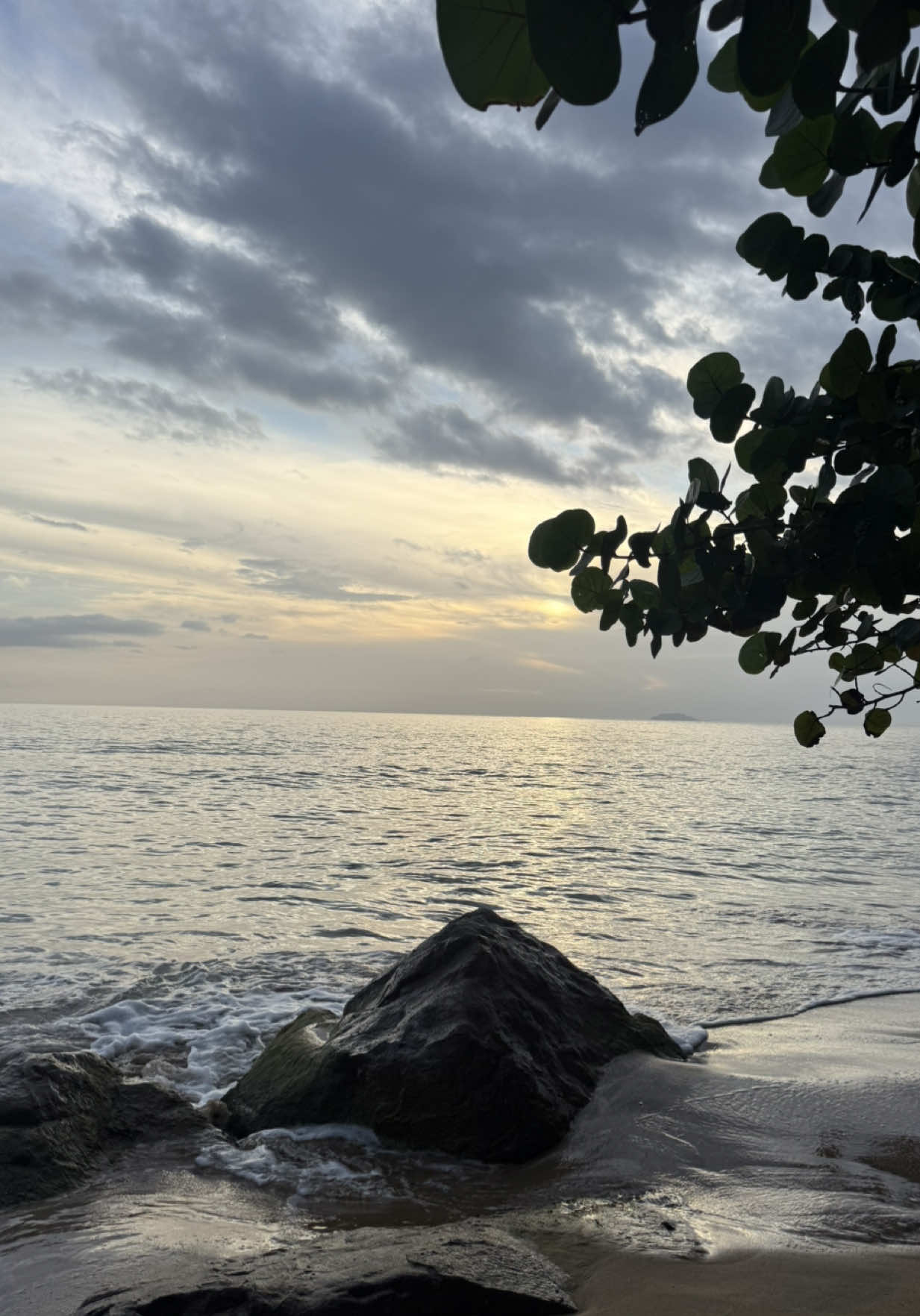 @Belton Tyrone 🇵🇷