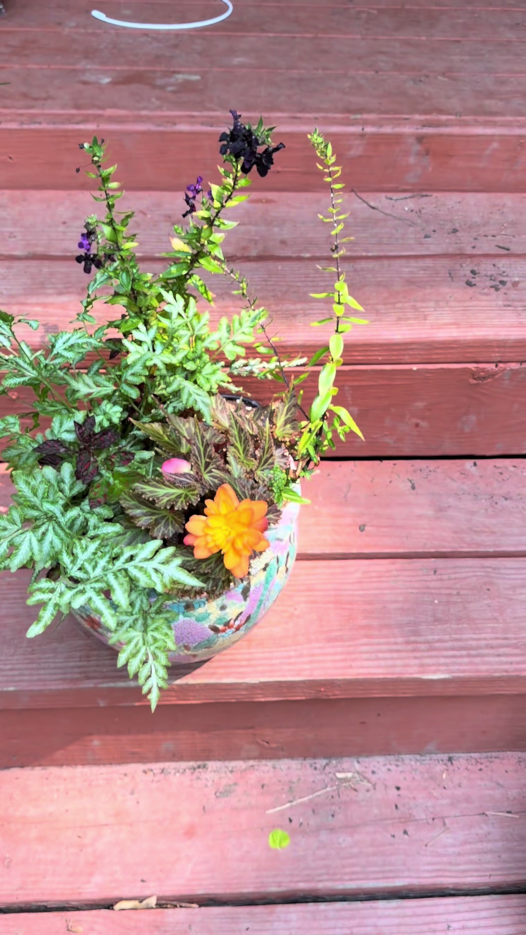 @Curious Garden Creations