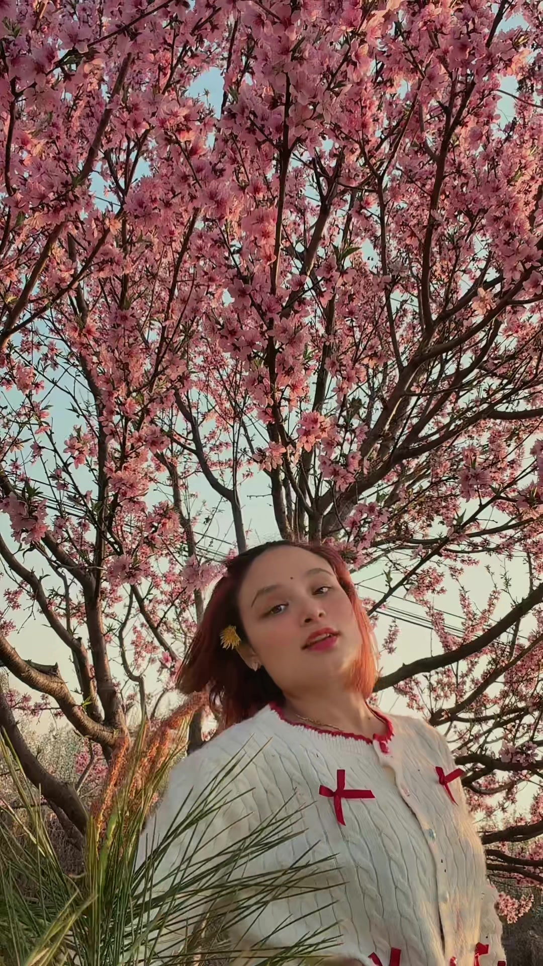 @Chettry__Rose