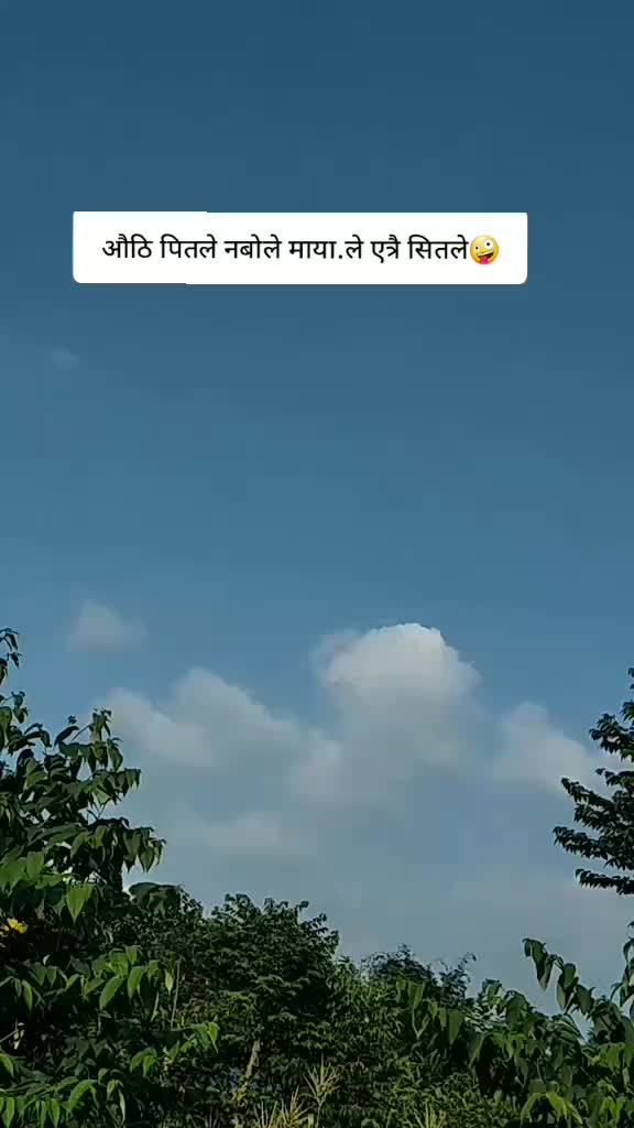 @menukaniraula506