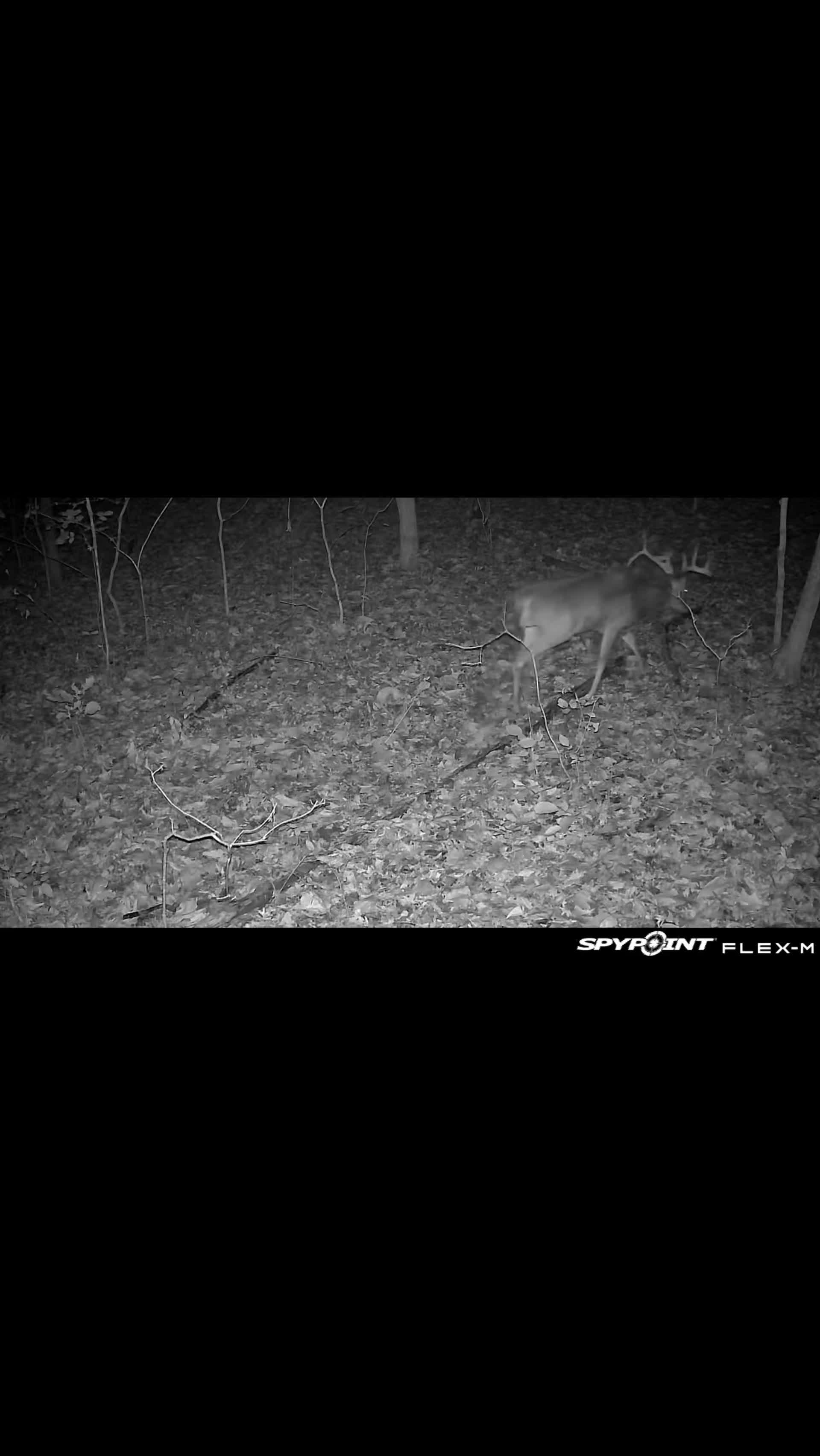 @Lethal_Prairie_Brandon