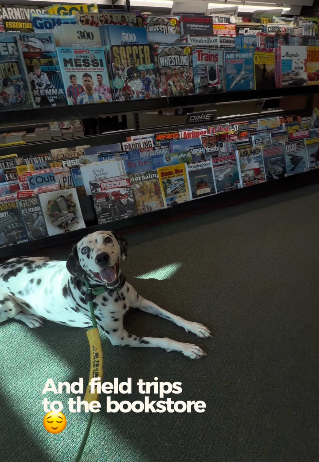 @Miracle K9 Training