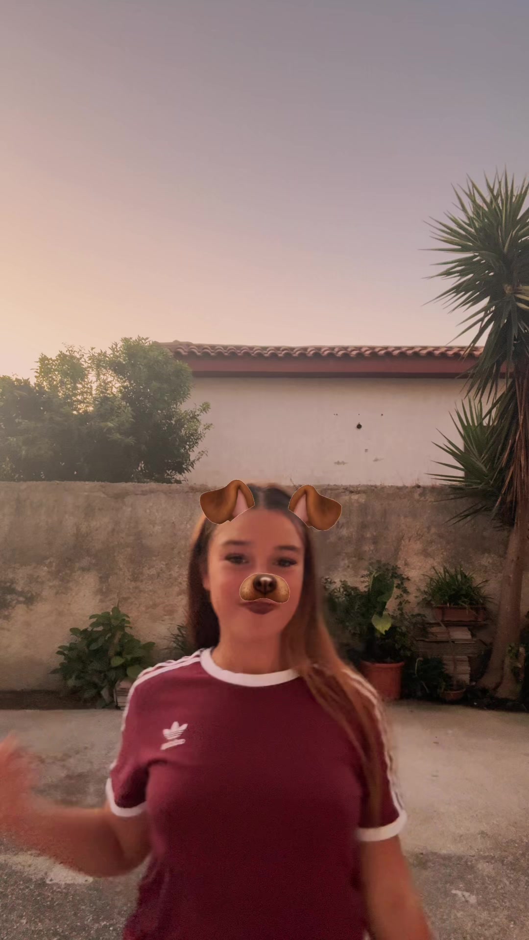 @ilmiospamm