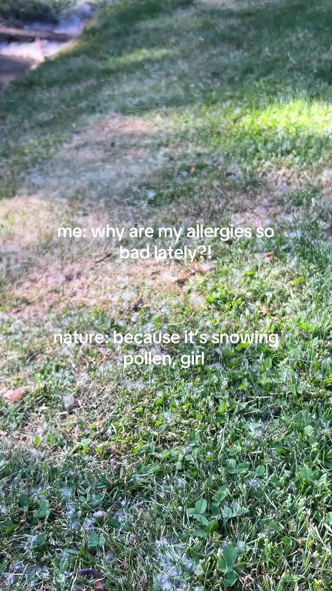 @skye 🌿🧚🏼✨
