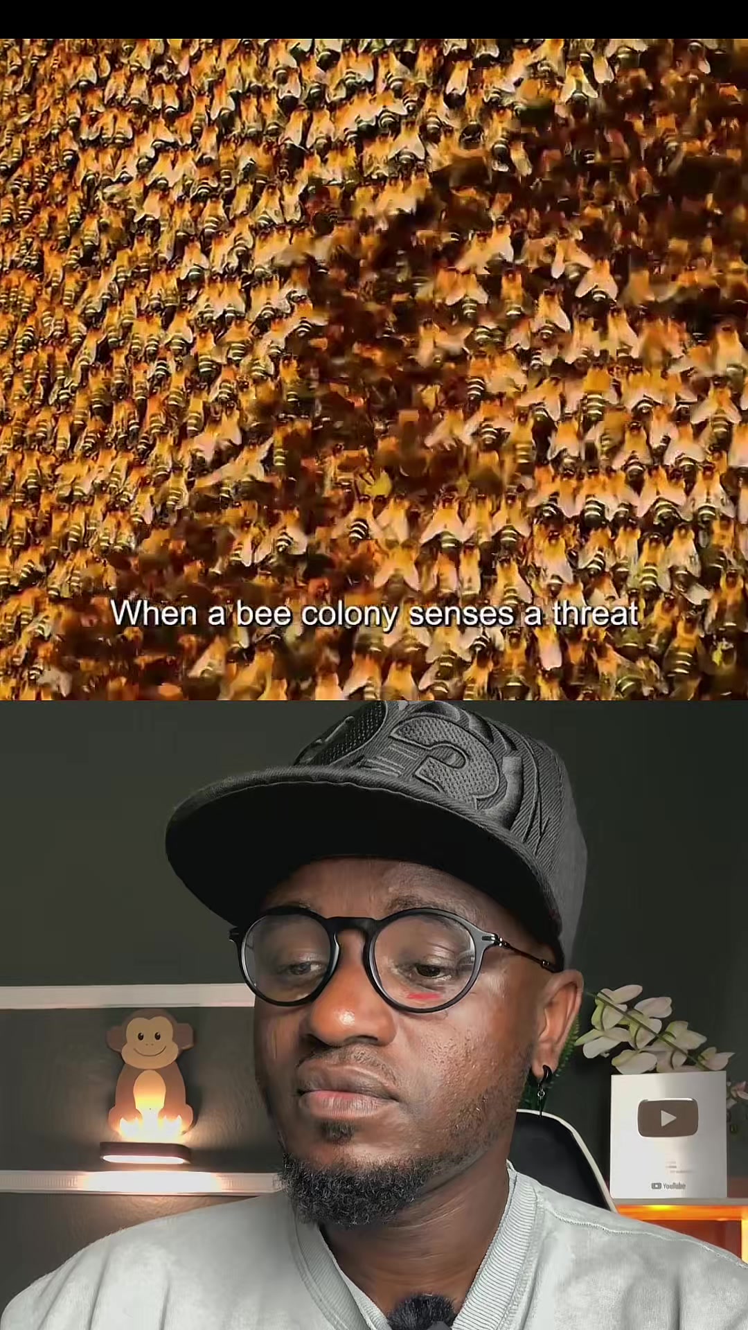 @provibee