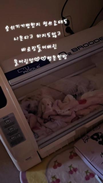 @아콩맘♡
