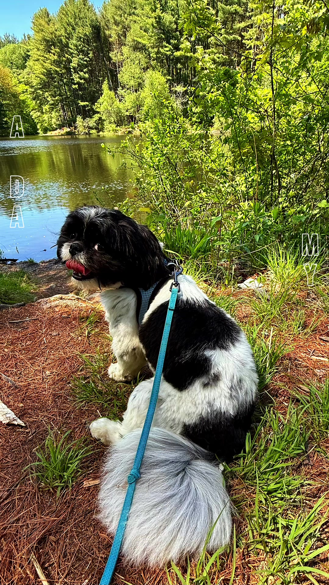@PawsOnTrailsCT