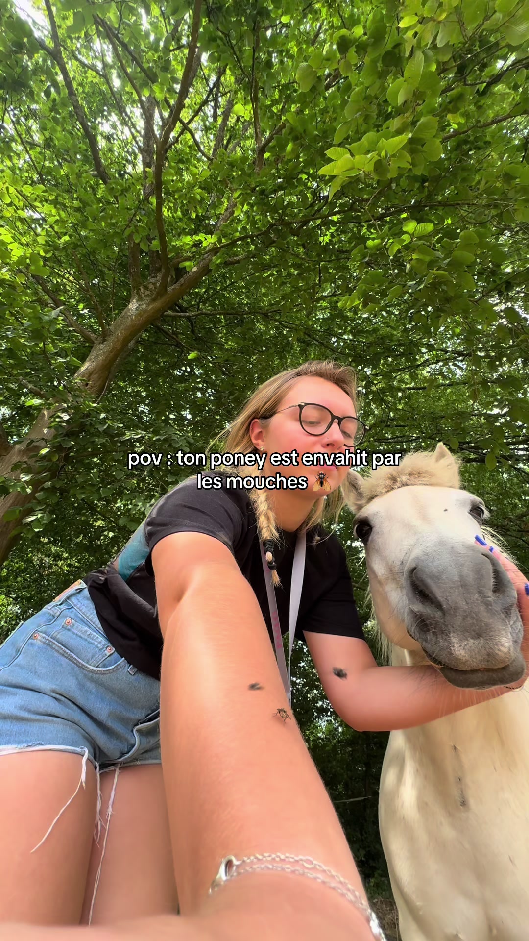 @benjyylepetitponey