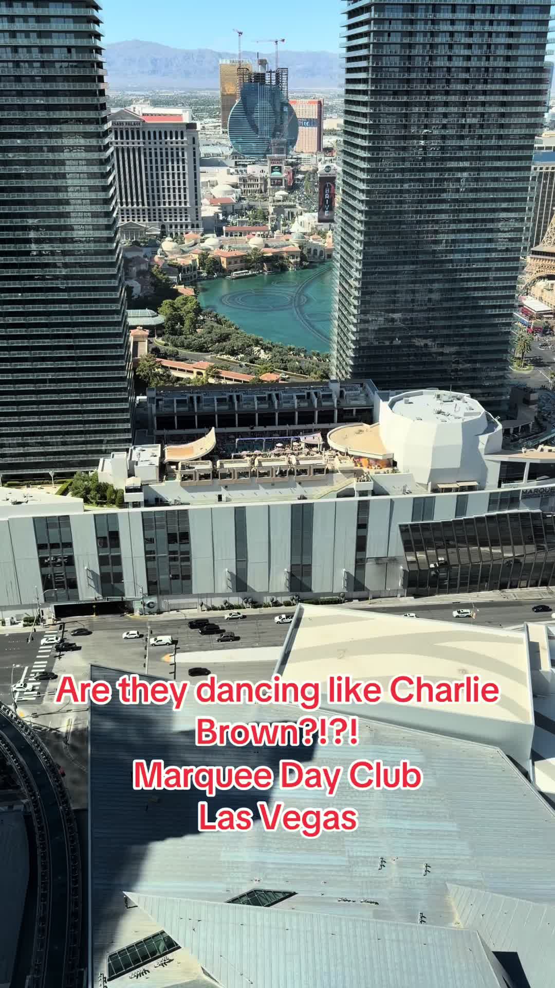 @MiLo