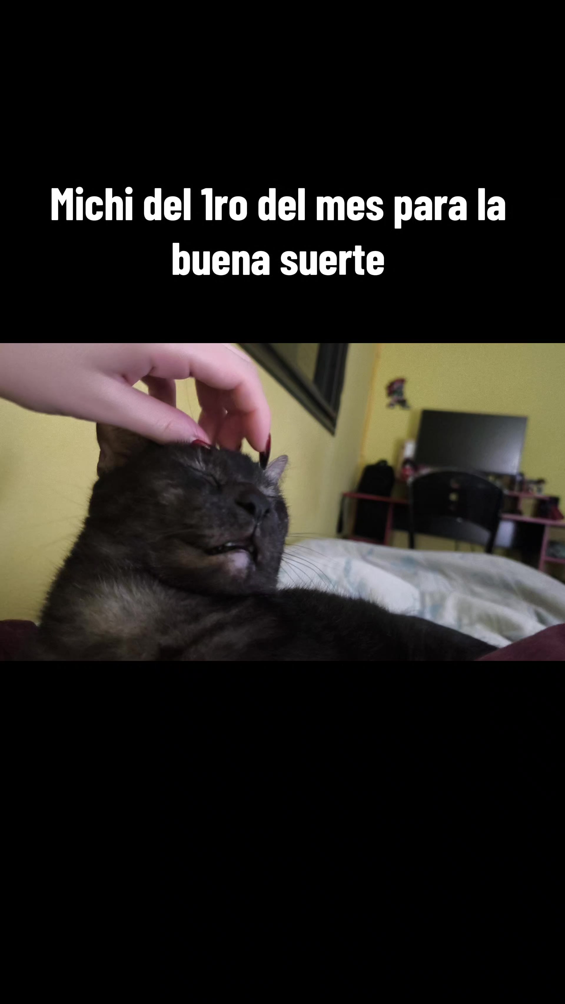 @Sabri