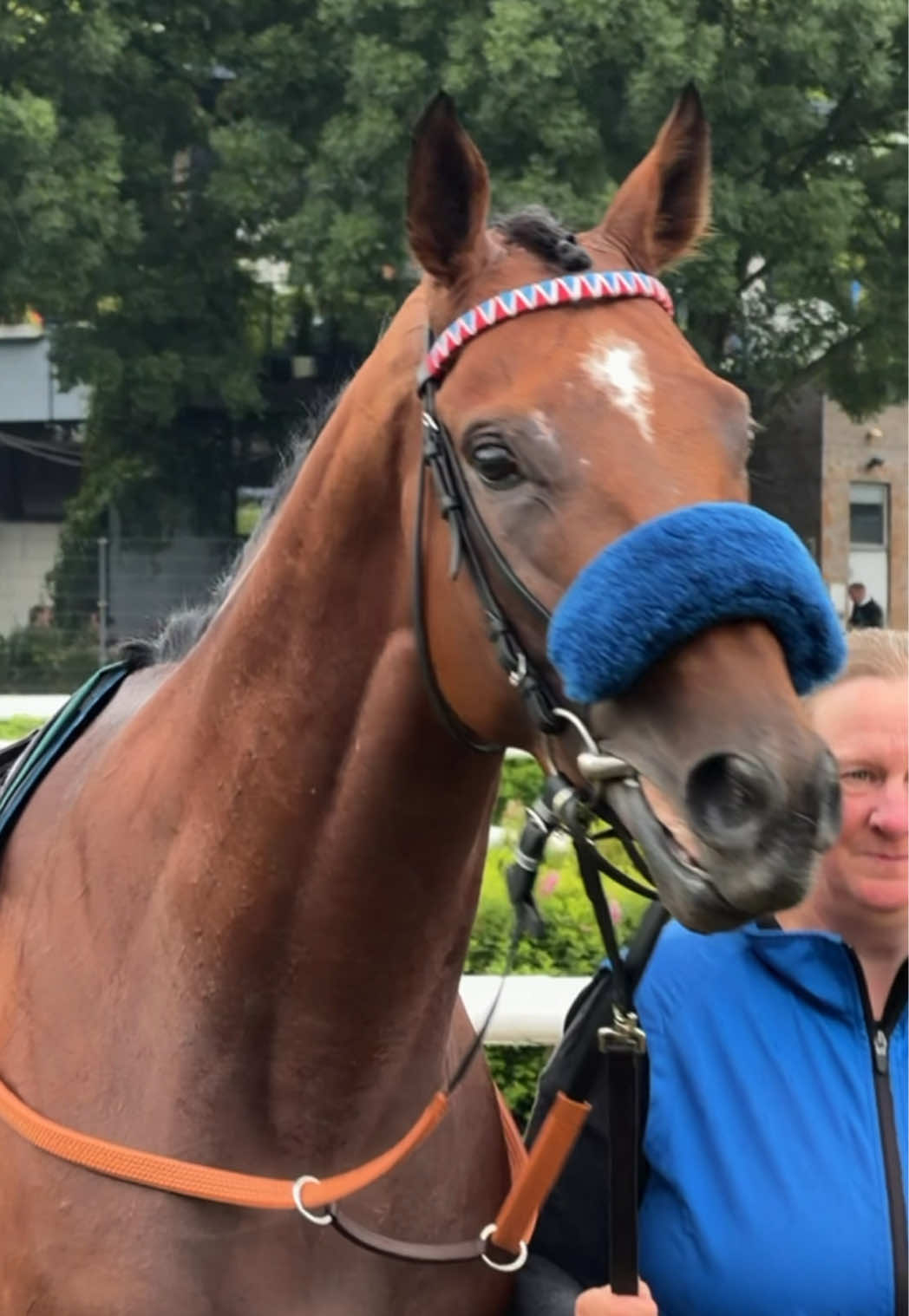 @Laura | German Horseracing