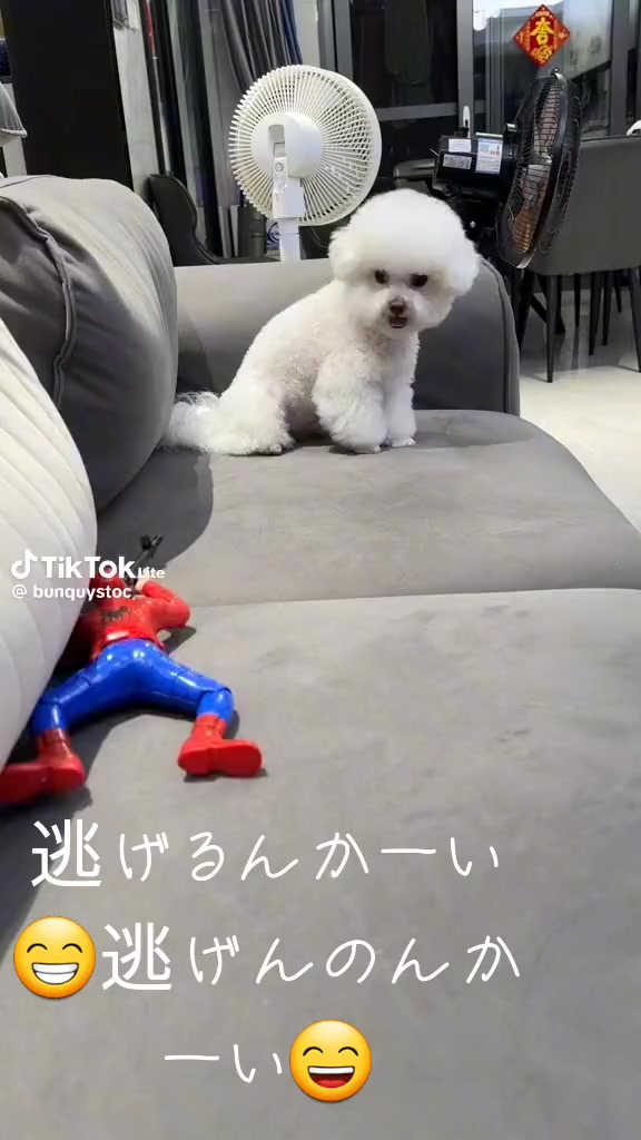 @ひろし❗️