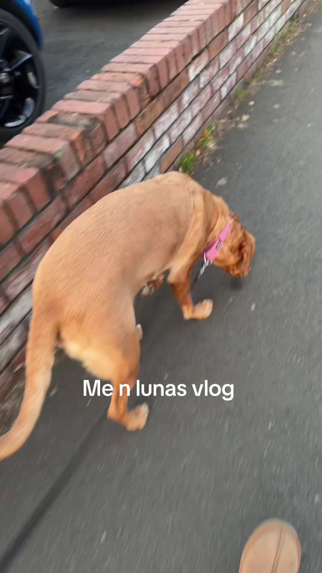 @Alliemacdonald