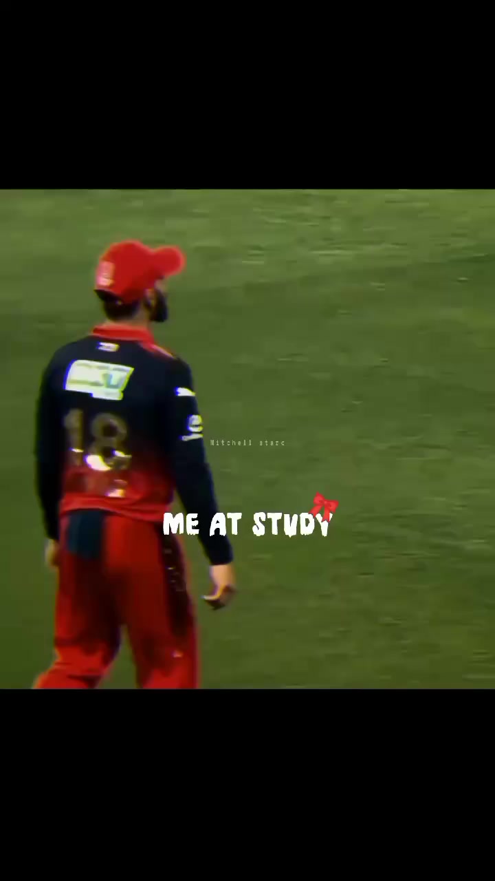 @Mitchell starc