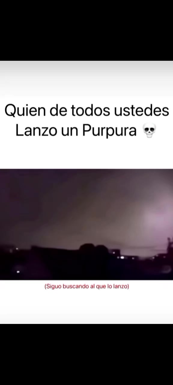 @gatico instintoXD