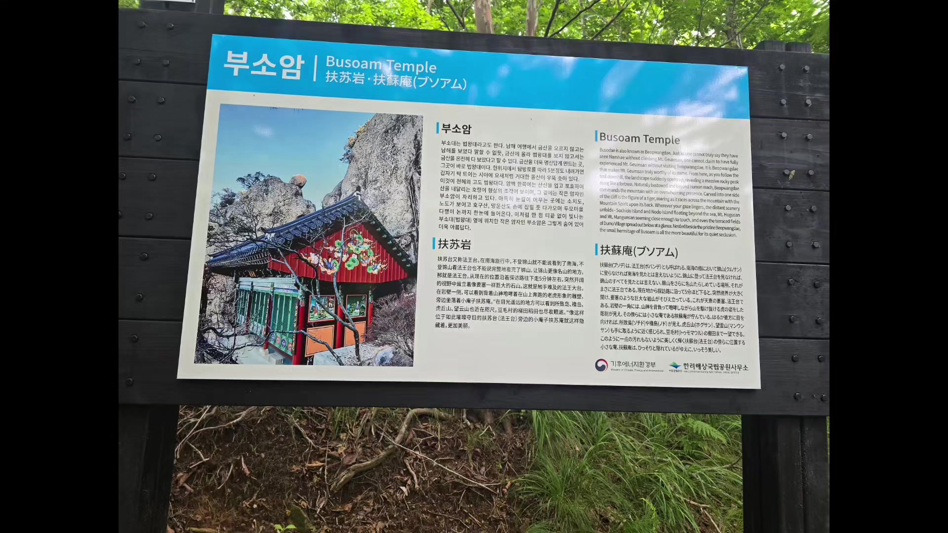 @#장보경힐링타로#장보경힐링타로사주이야