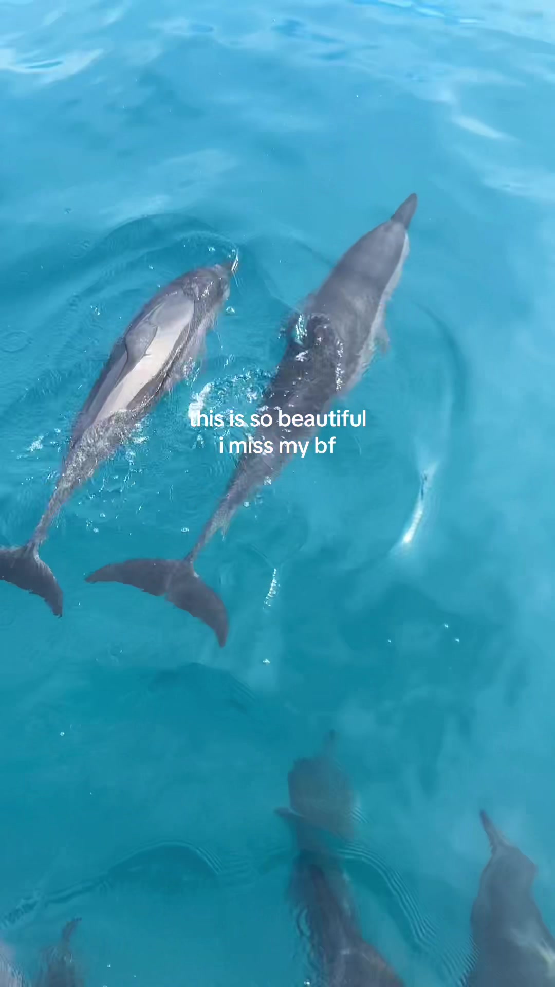 @amandaxsmiith