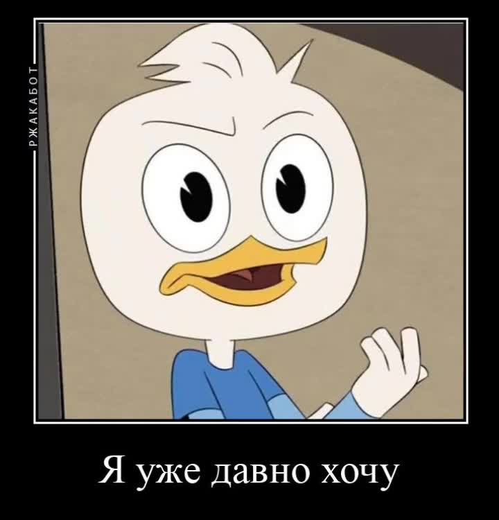 @Foxys-world