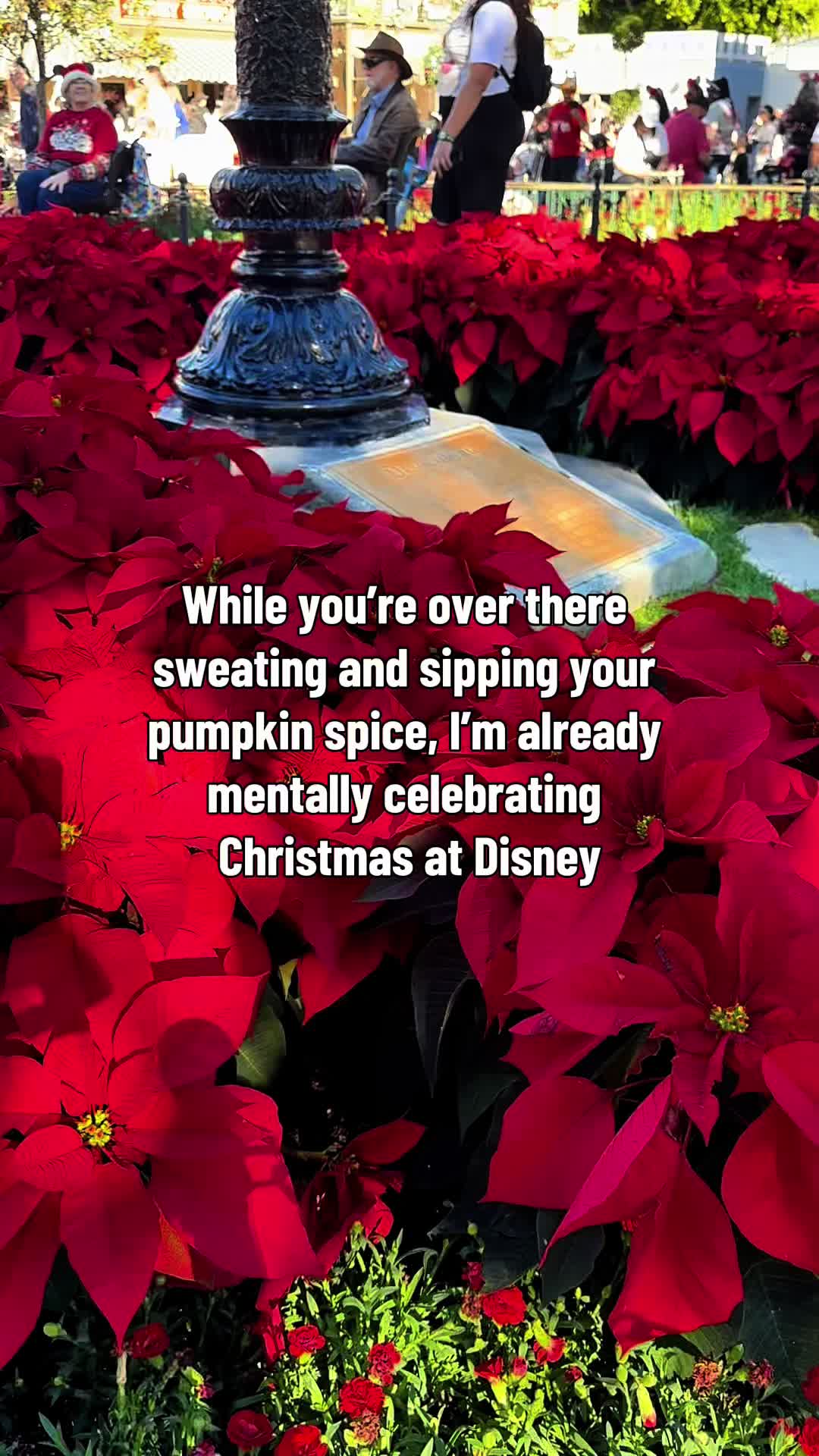@DisneySarah23