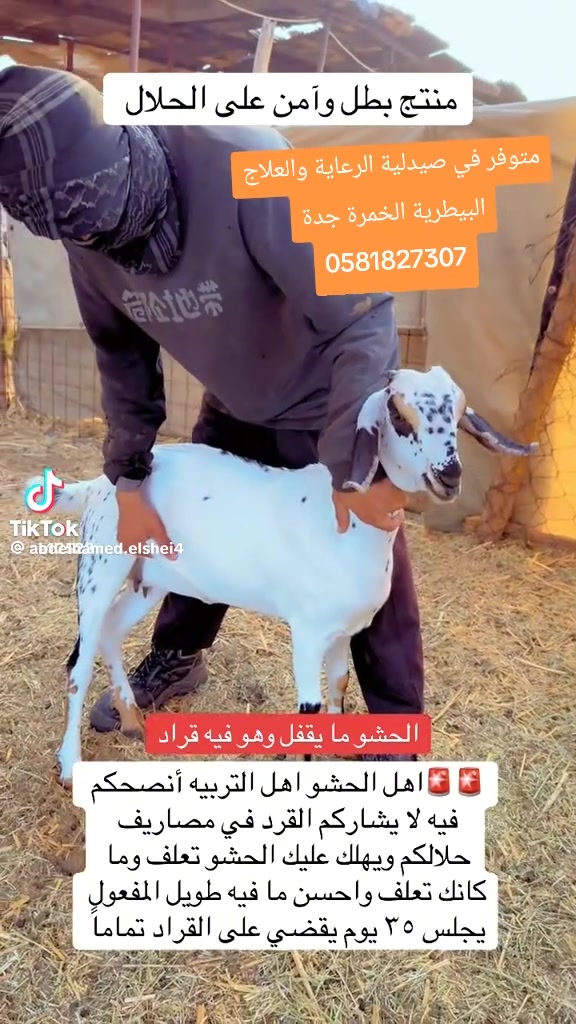 @mohamed_ksa0