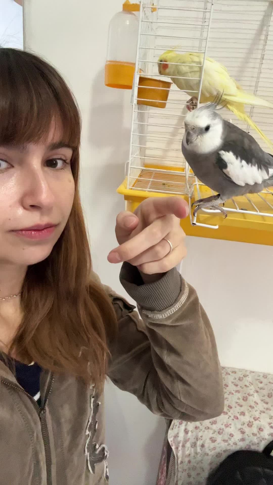 @Jaque Vit&oacute;ria🍎