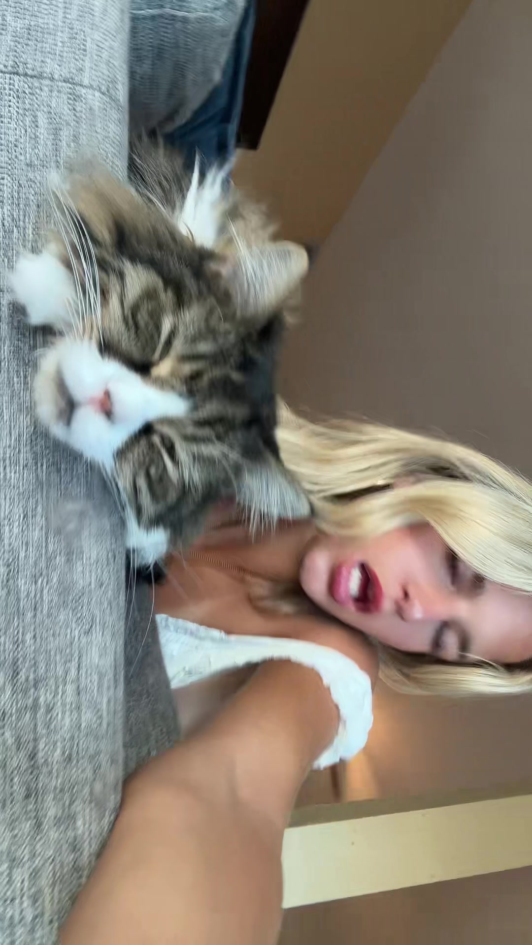 @lily