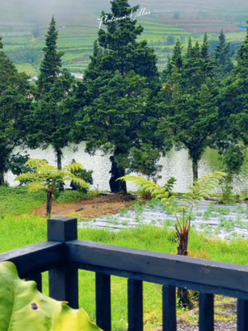 @Dieng Life Villas