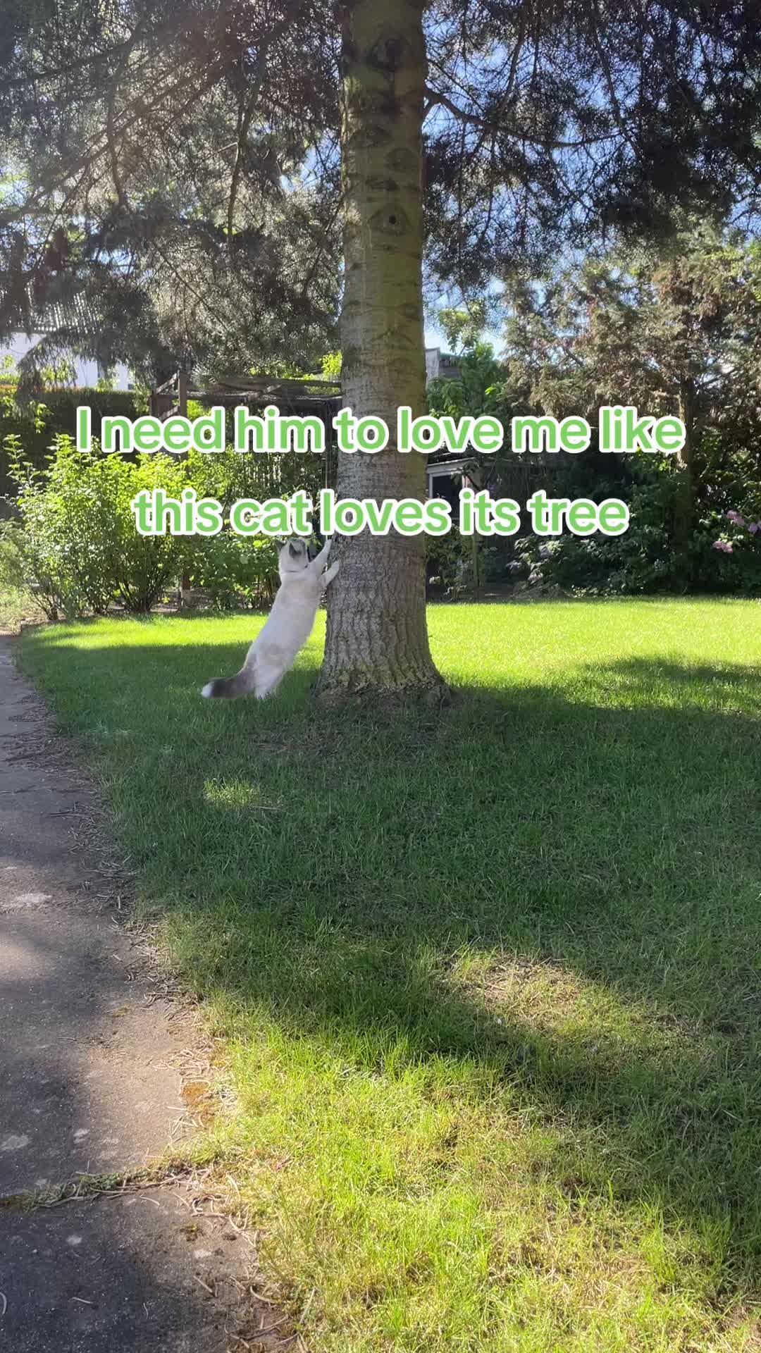 @totalmessforu