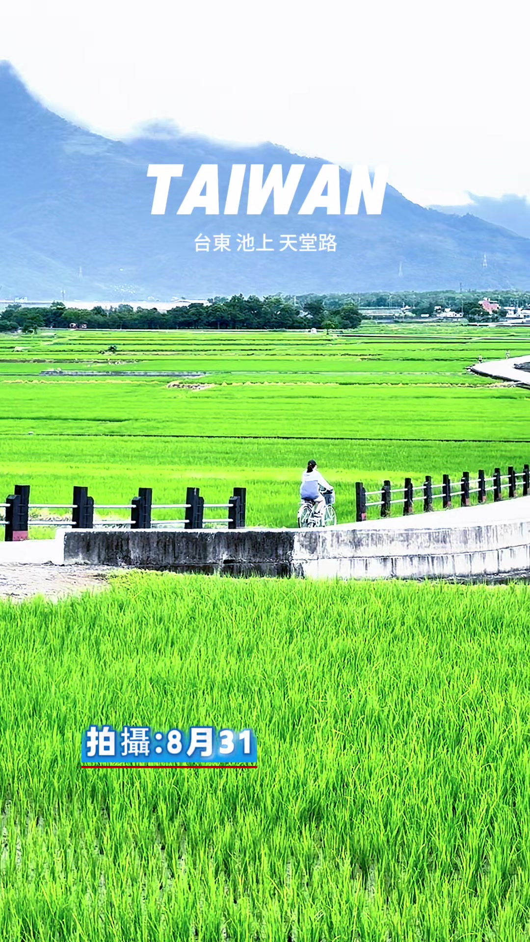 @美娴(華鼎自行車出租店)