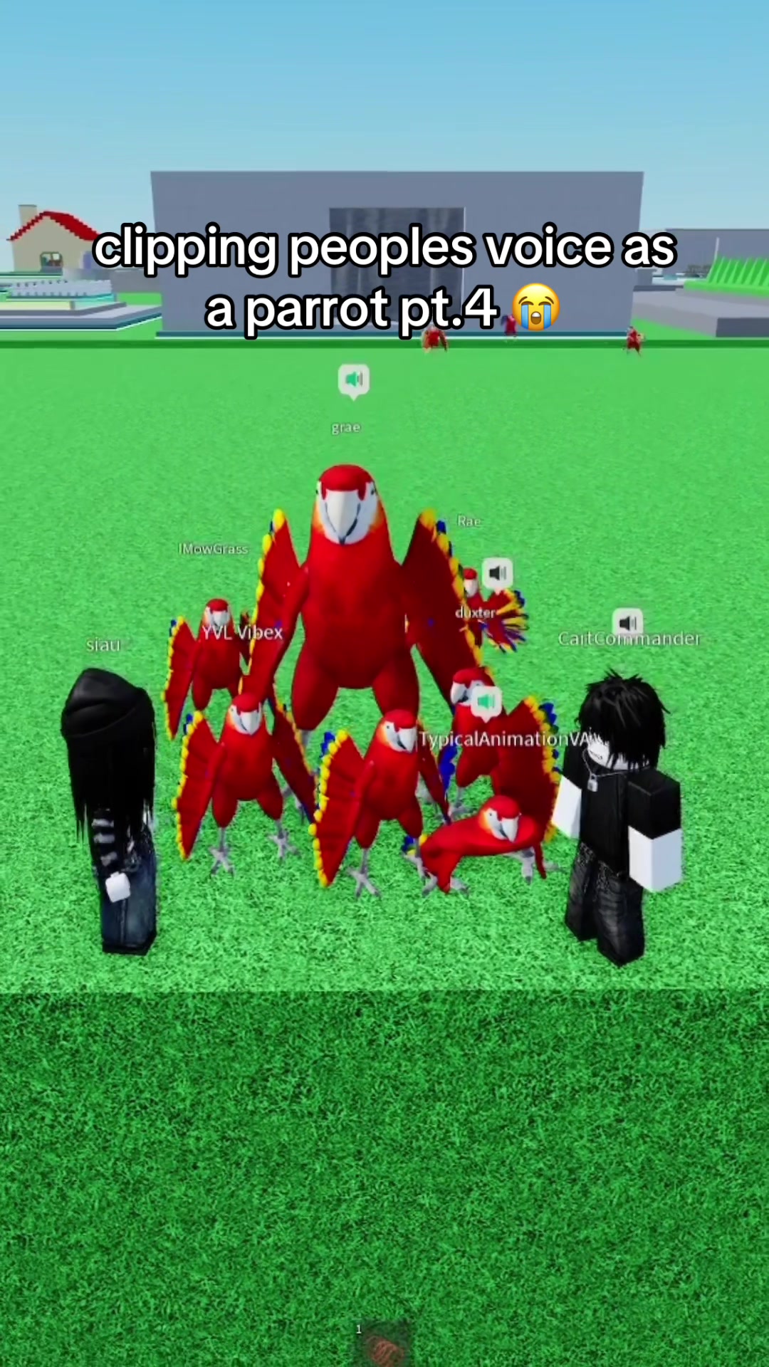 @nobrainjames