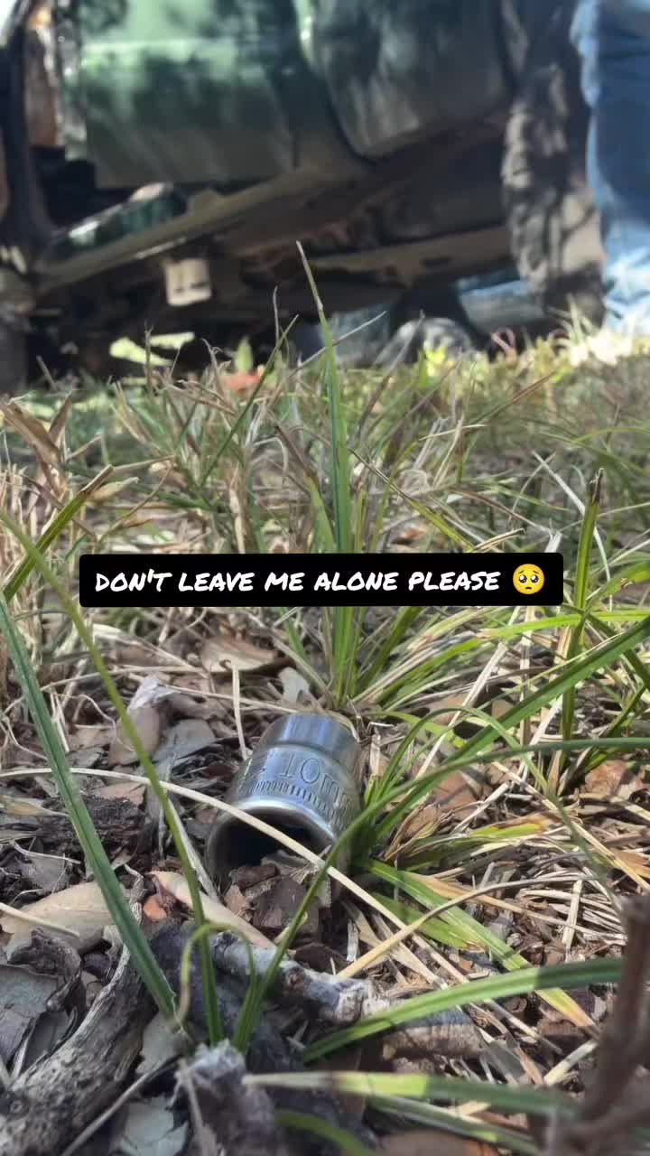 @angahXMX