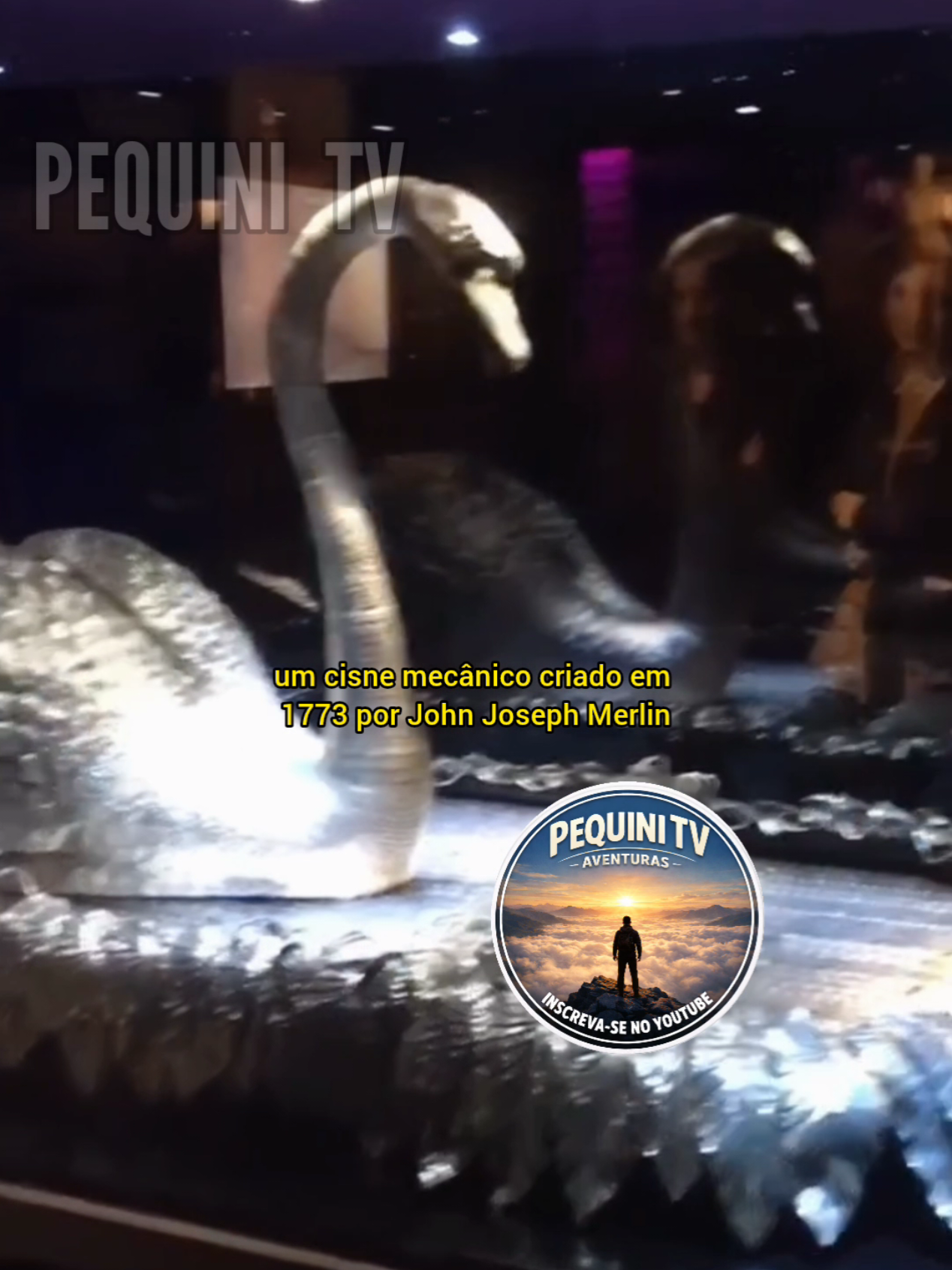@PEQUINI TV
