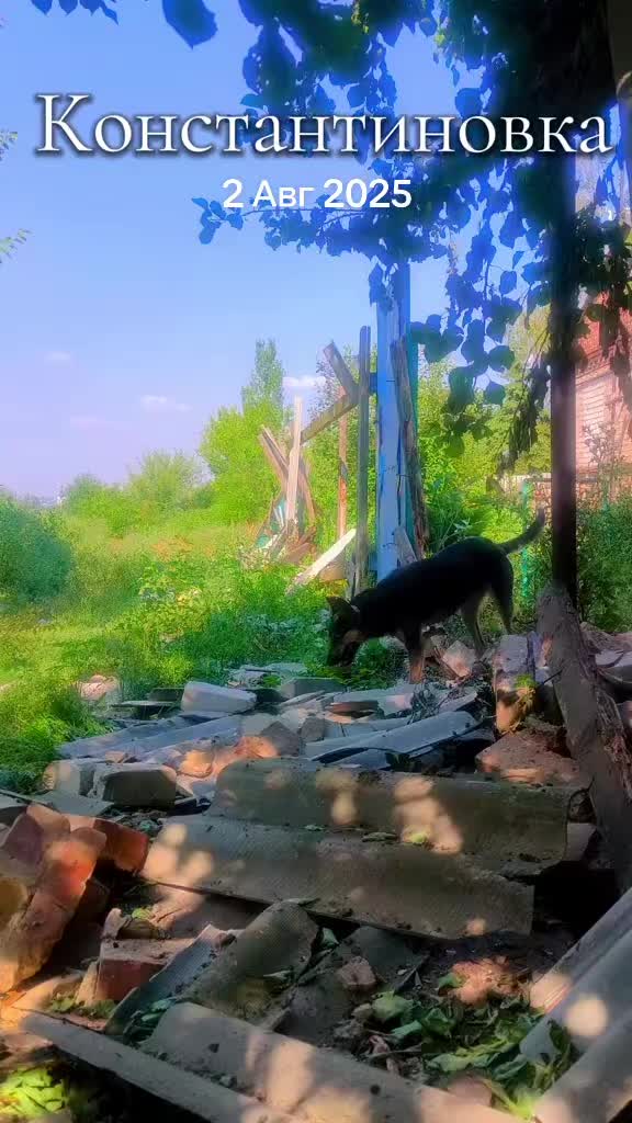 @Дима Off